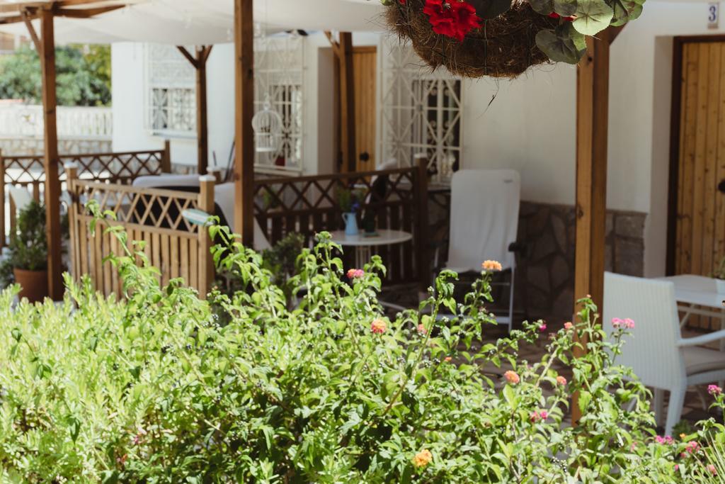 Apartamentos Casa Torres - Adults Only El Albir Zewnętrze zdjęcie